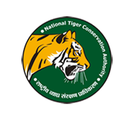नेशनल टाइगर कन्सेर्वटिव अथॉरिटी