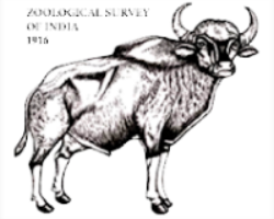 ZSI Logo