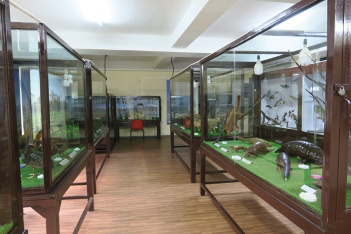 Museum