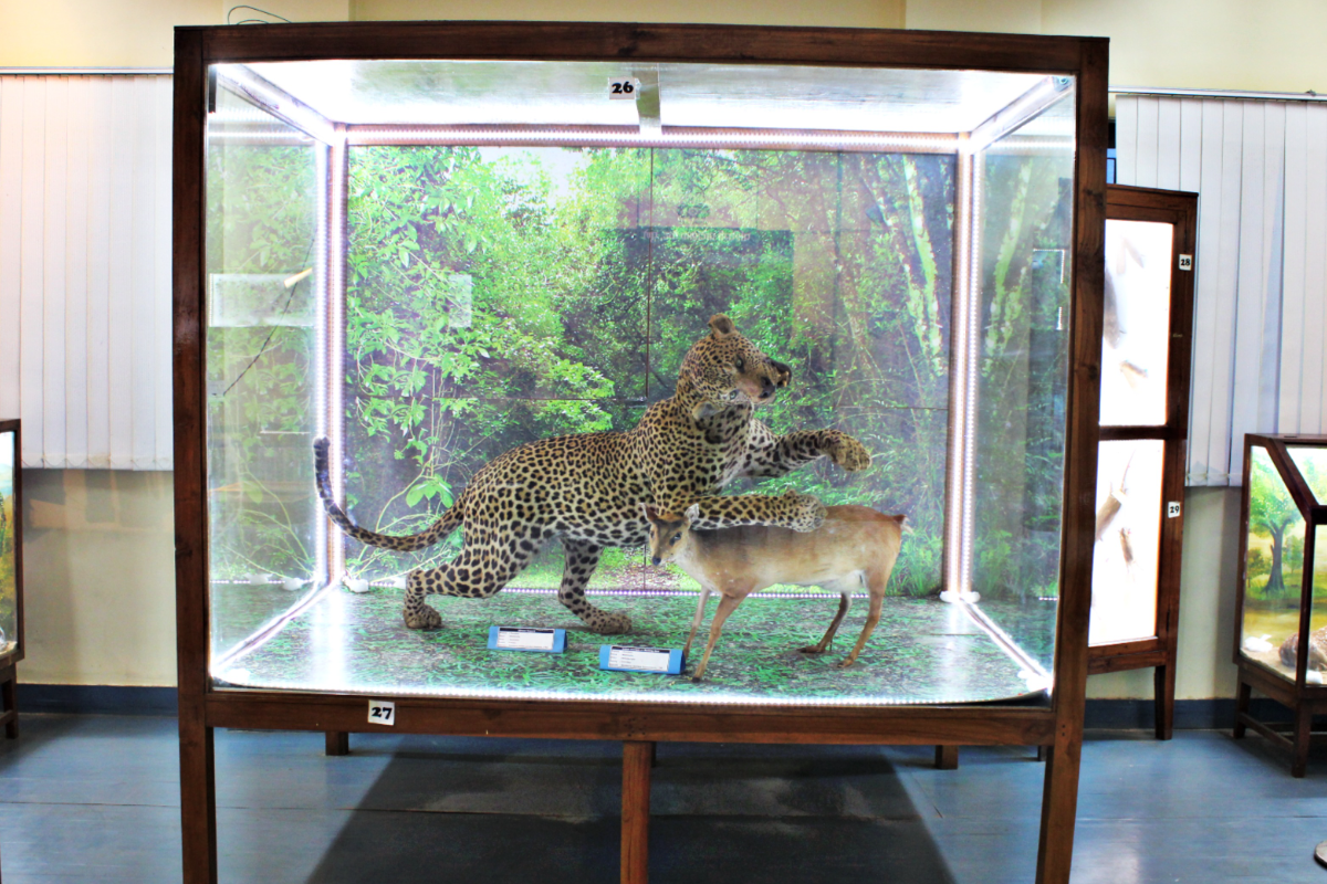 Museum