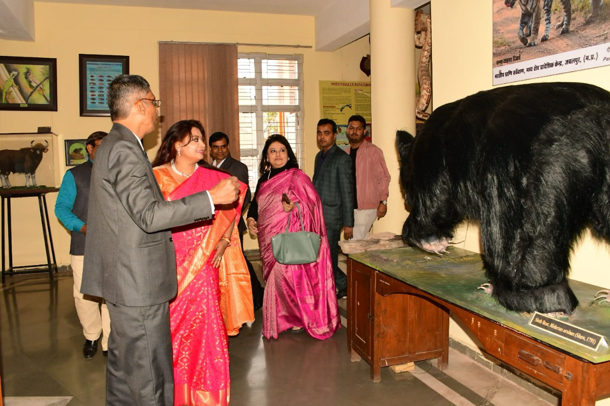 Zoological Museum