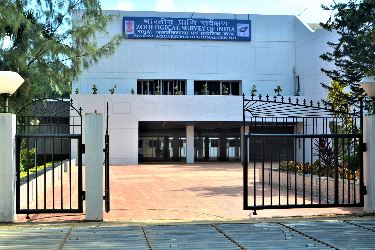 Marine Aquarium and Regional Centre, Digha