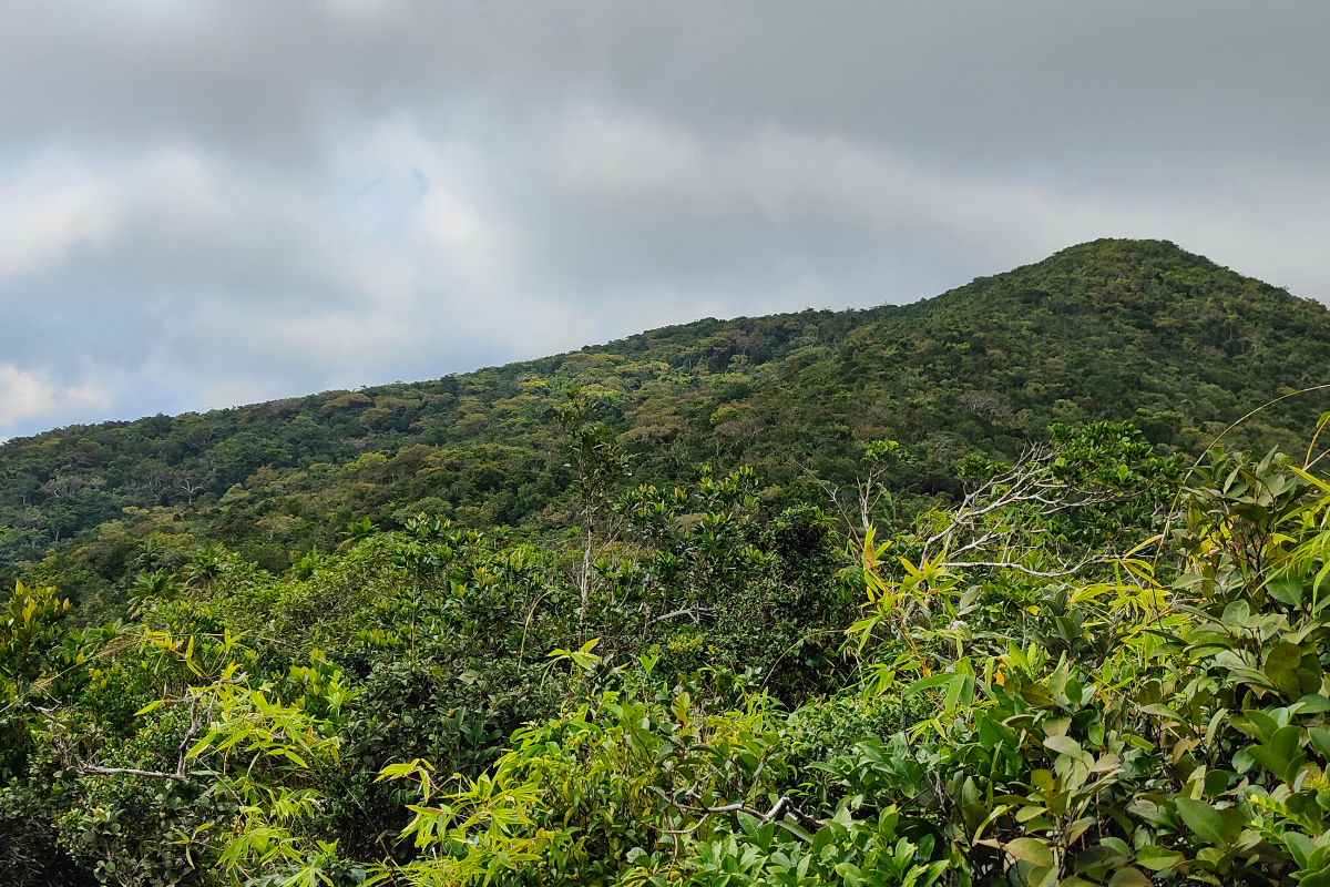 ANRC, Port Blair