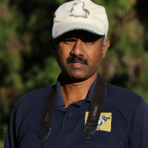 DR. GOPINATHAN MAHESWARAN