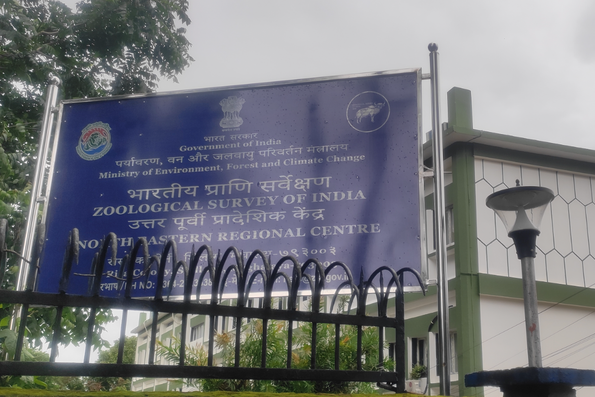 North Eastern Regional Centre, ZSI, Shillong