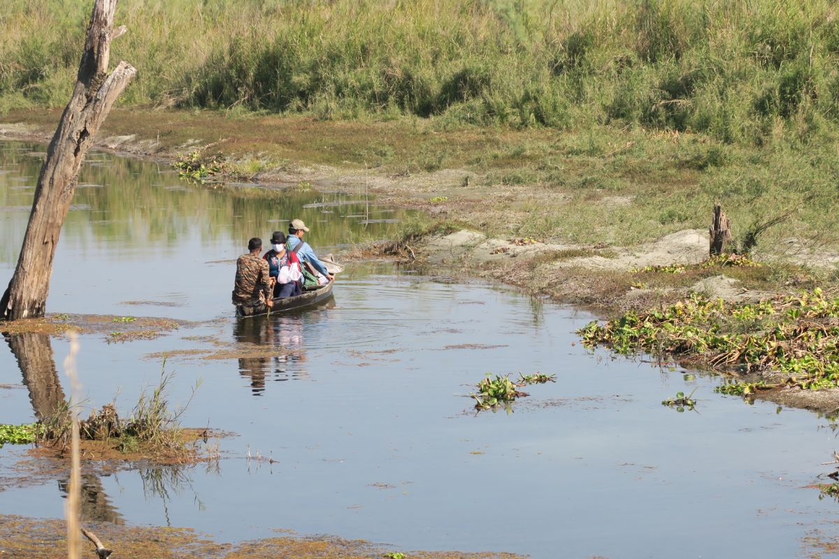Survey in Dibru Saikhowa Biosphere Reserve, Assam