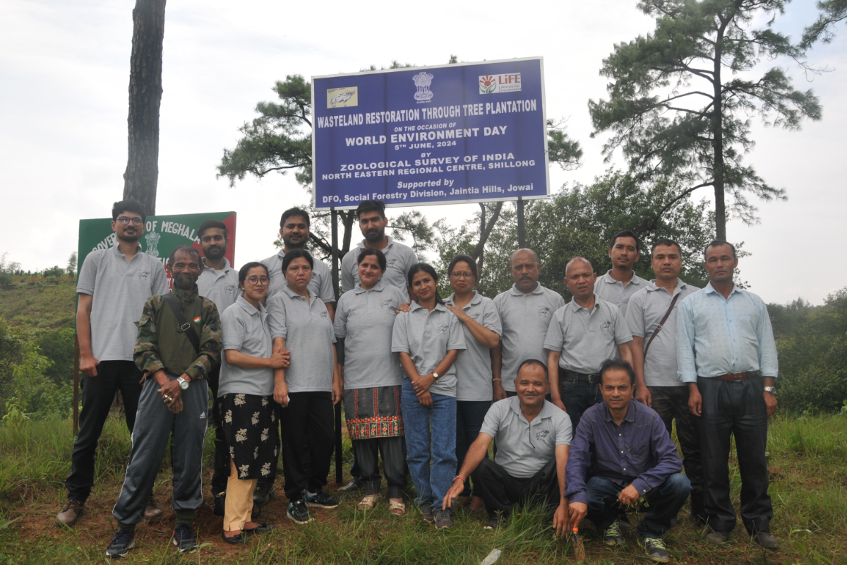 Wasteland Restoration through Tree Plantation
