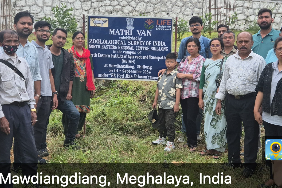 Establishment of Matri Van