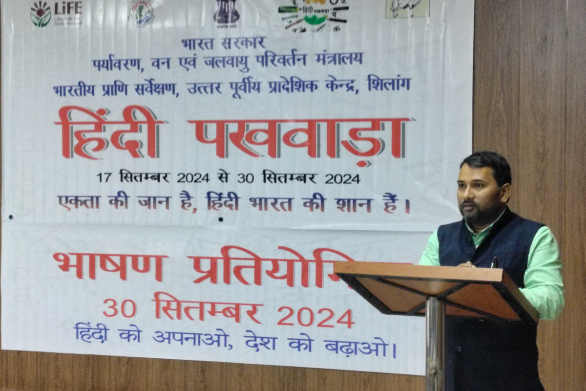 Hindi Pakhwada