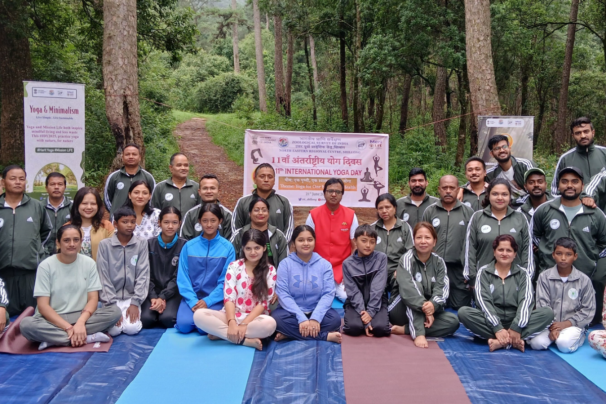 Celebration of International Yoga Day